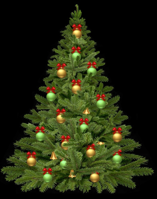 2022 Christmas Tree Lighting